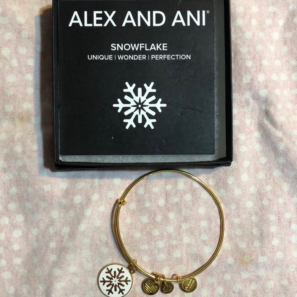 Alex and Ani braclet